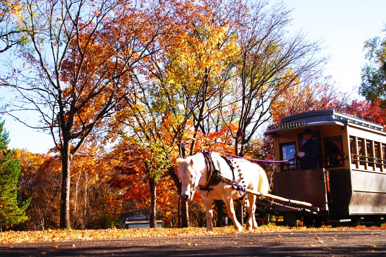 Things to do in Sapporo：Hokkaido pioneer village