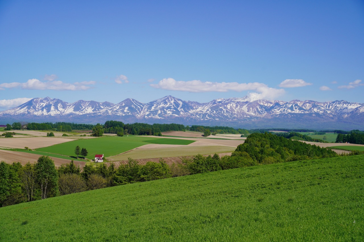 Things to do in Biei ：Shinei no Oka Observation Park