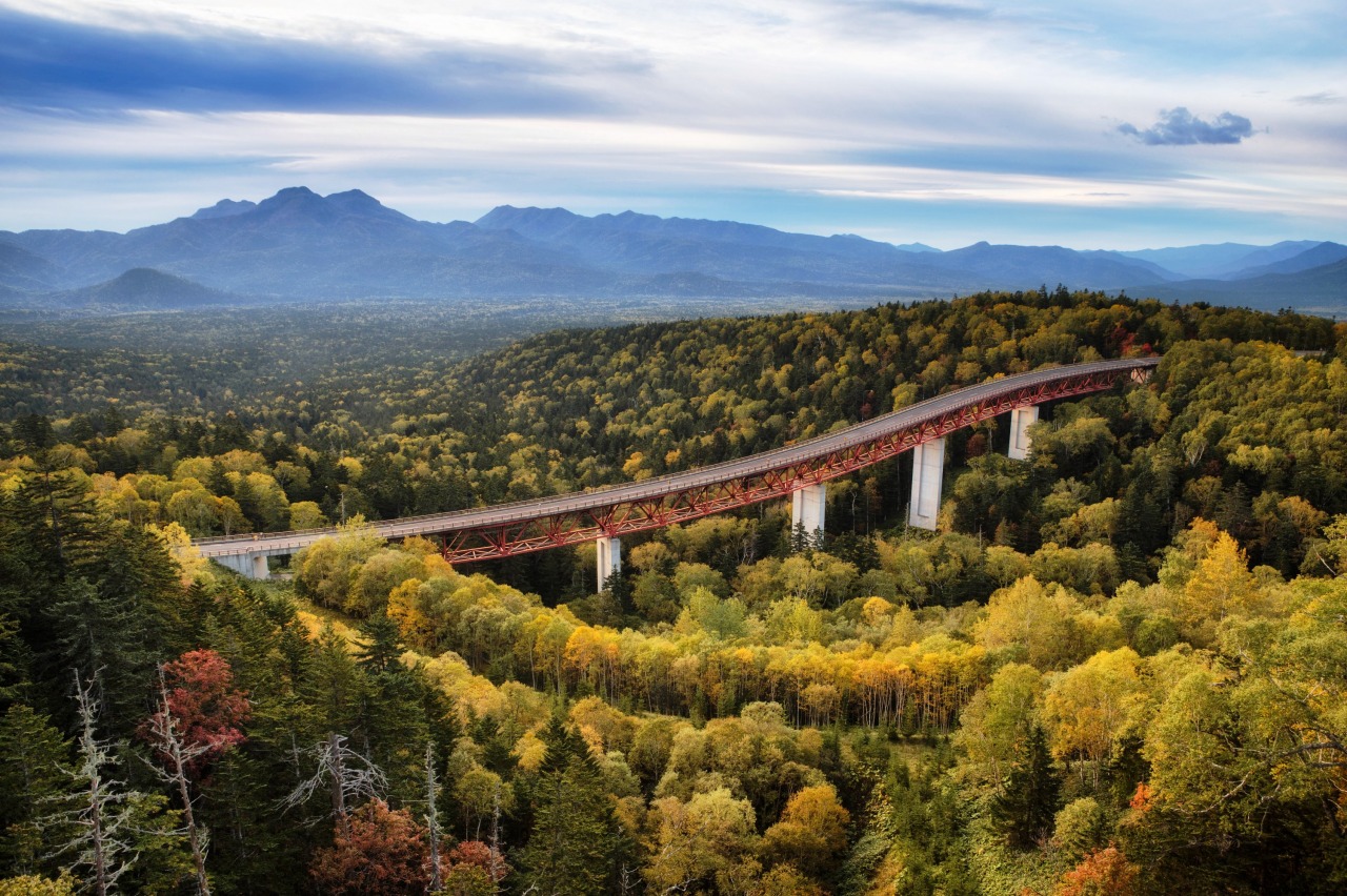 Things to do in Kamishihoro：Mikuni Pass Observation Deck