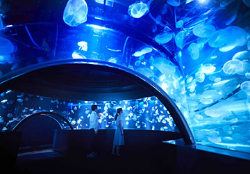 Things to do in Kyoto : Kyoto Aquarium