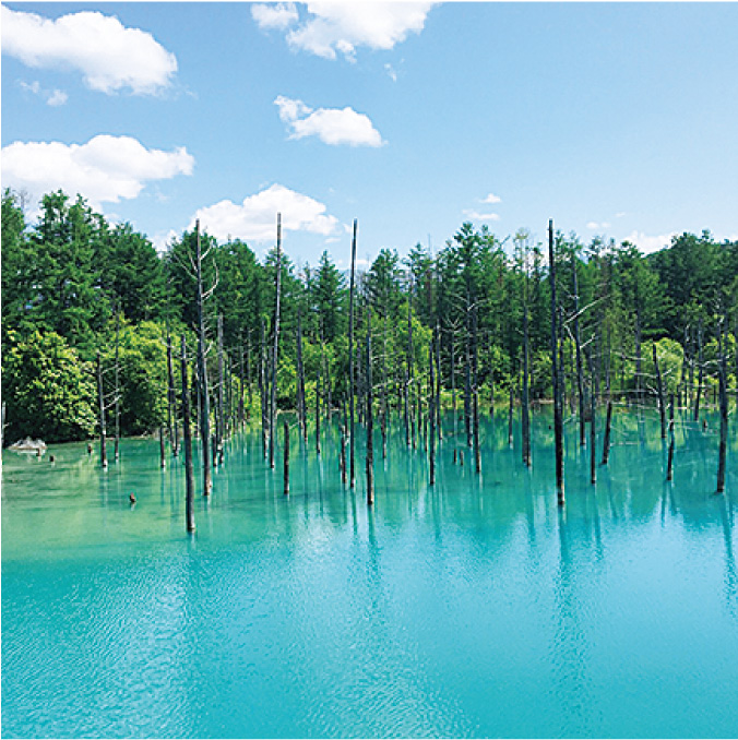 Things to do in Biei：Shirokane Blue Pond