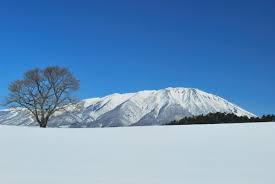 Things to do  in Iwate：Koiwai Farm