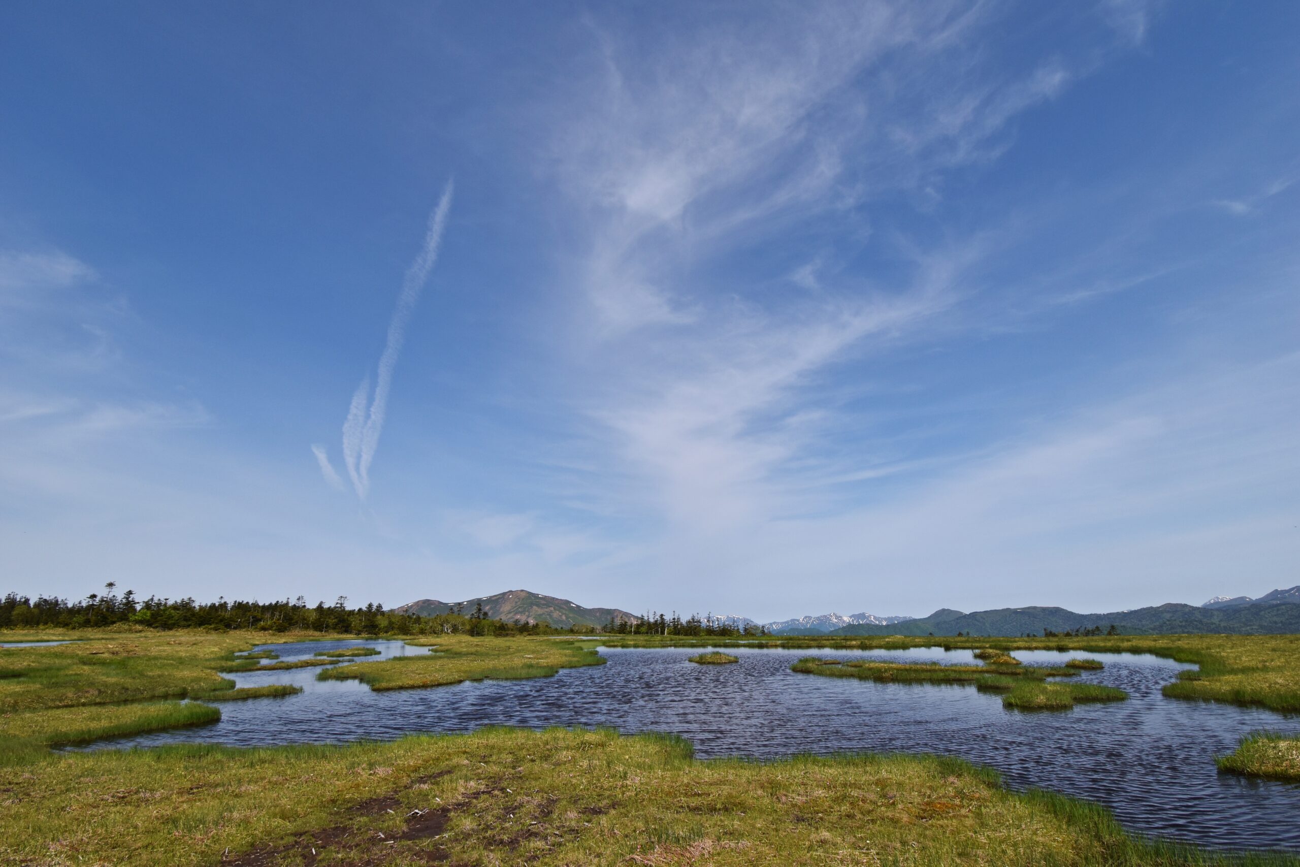 Things to do in Gunma：Oze National Park