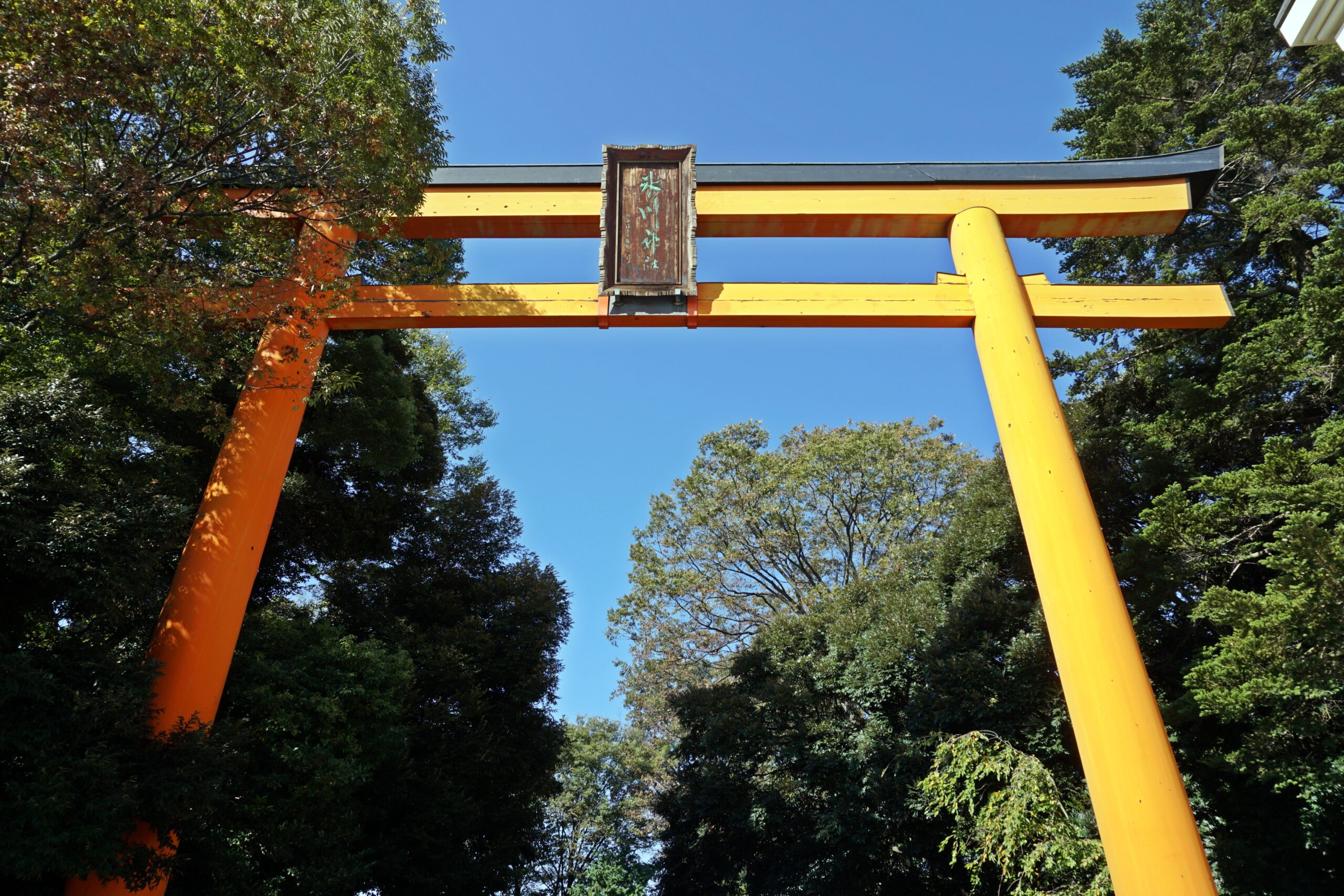 Things to do in Saitama：Kawagoe Hikawa Shrine