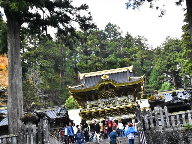 Things to do  in Tochigi：Nikko Toshogu Shrine