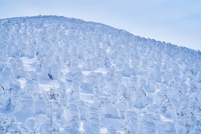 Things to do in Miyagi and Yamagata：Zao Mountain Range