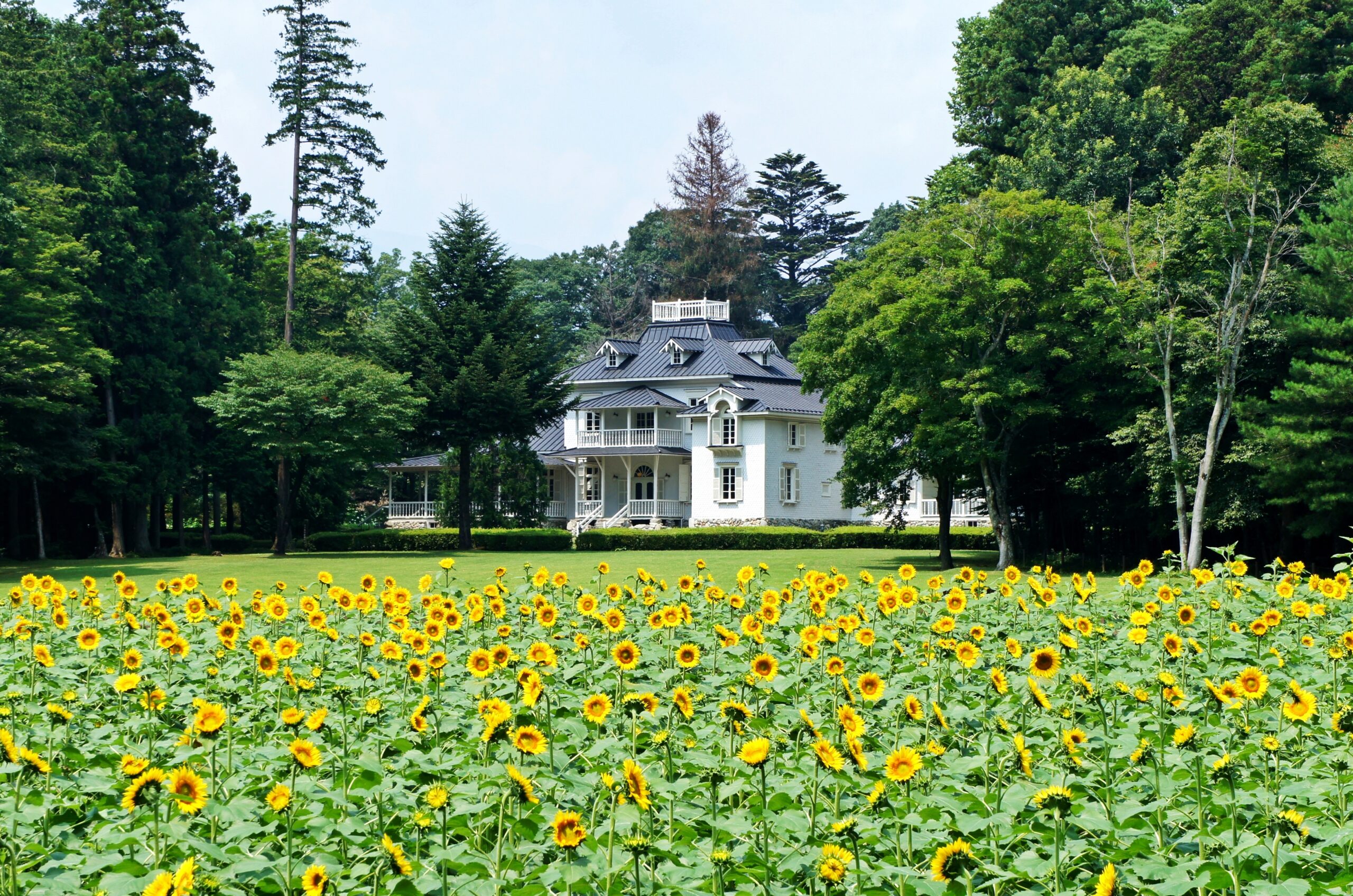 Things to do  in Tochigi：Meiji no Mori Kuroiso