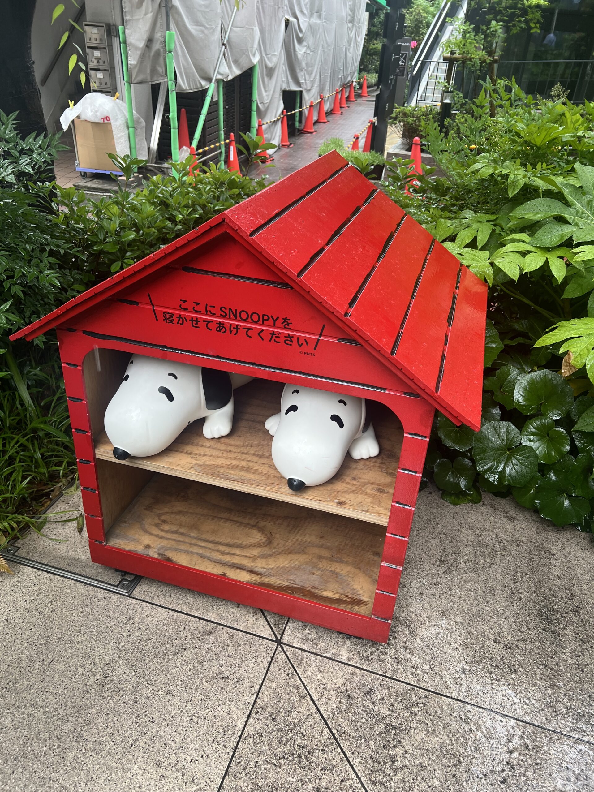 Explore the Peanuts Cafe in Harajuku: A Cozy Retreat for Snoopy Fans