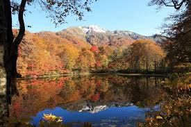 Fukui：Karikomi Pond