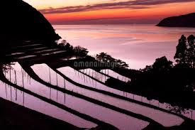 Fukui：Wada Shioya Terraced Rice Fields