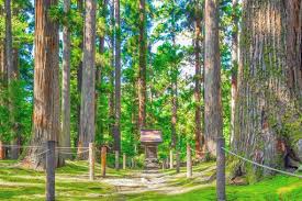 Fukui：Heisenji Hakusan Shrine