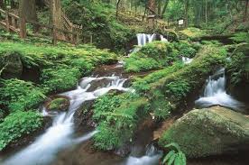 Fukui：Uriwari Falls