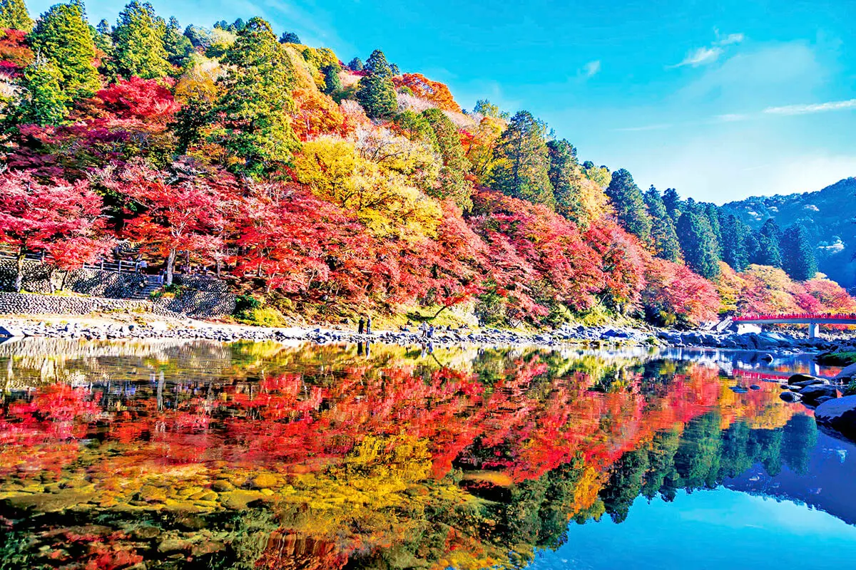 7 must go places in Mikawa area Aichi