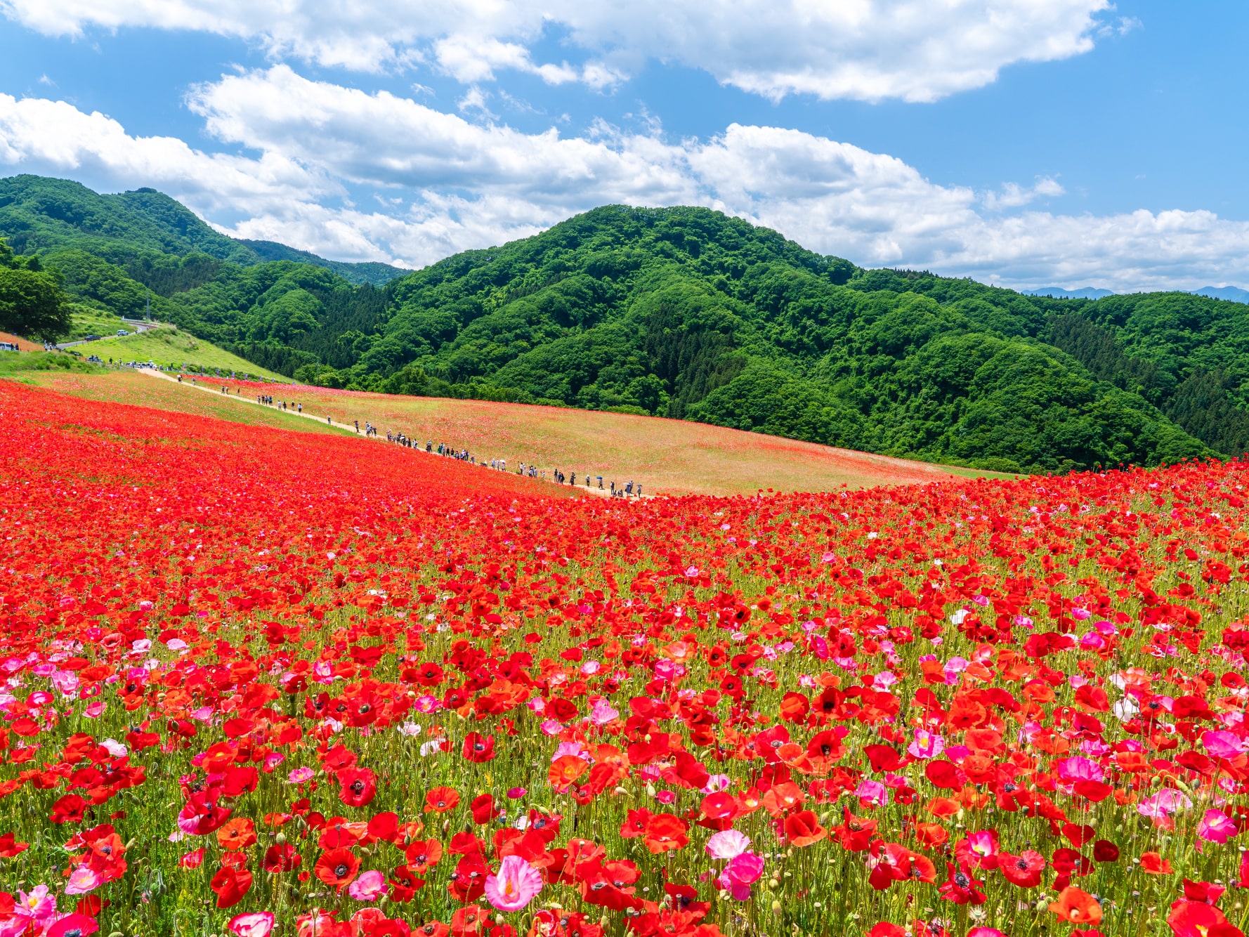 Place to go in Saitama Nagatoro (長瀞)