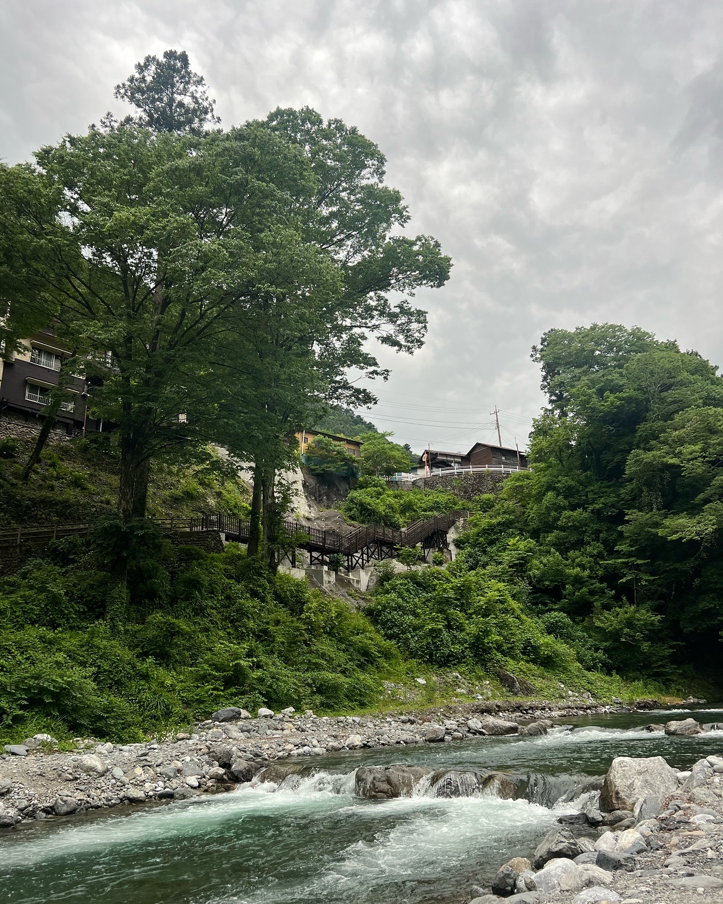 Beyond the City: Discovering the Hidden Beauty of Okutama