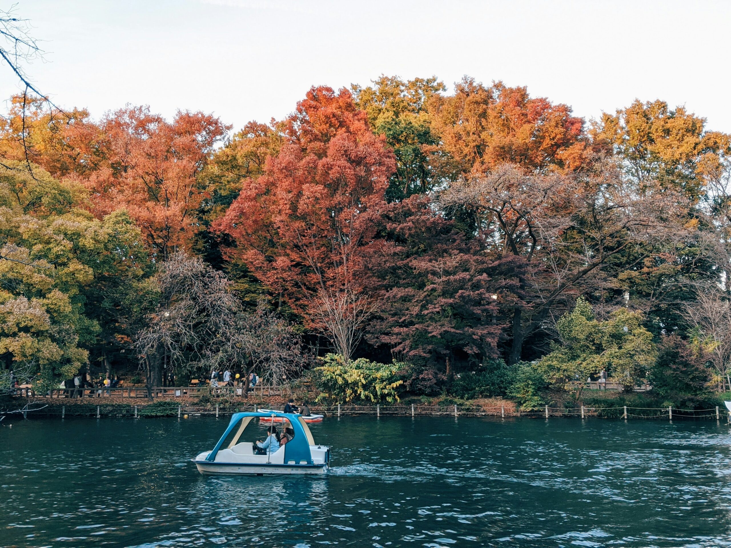 Inokashira Park: A Tranquil Escape in the Heart of Tokyo