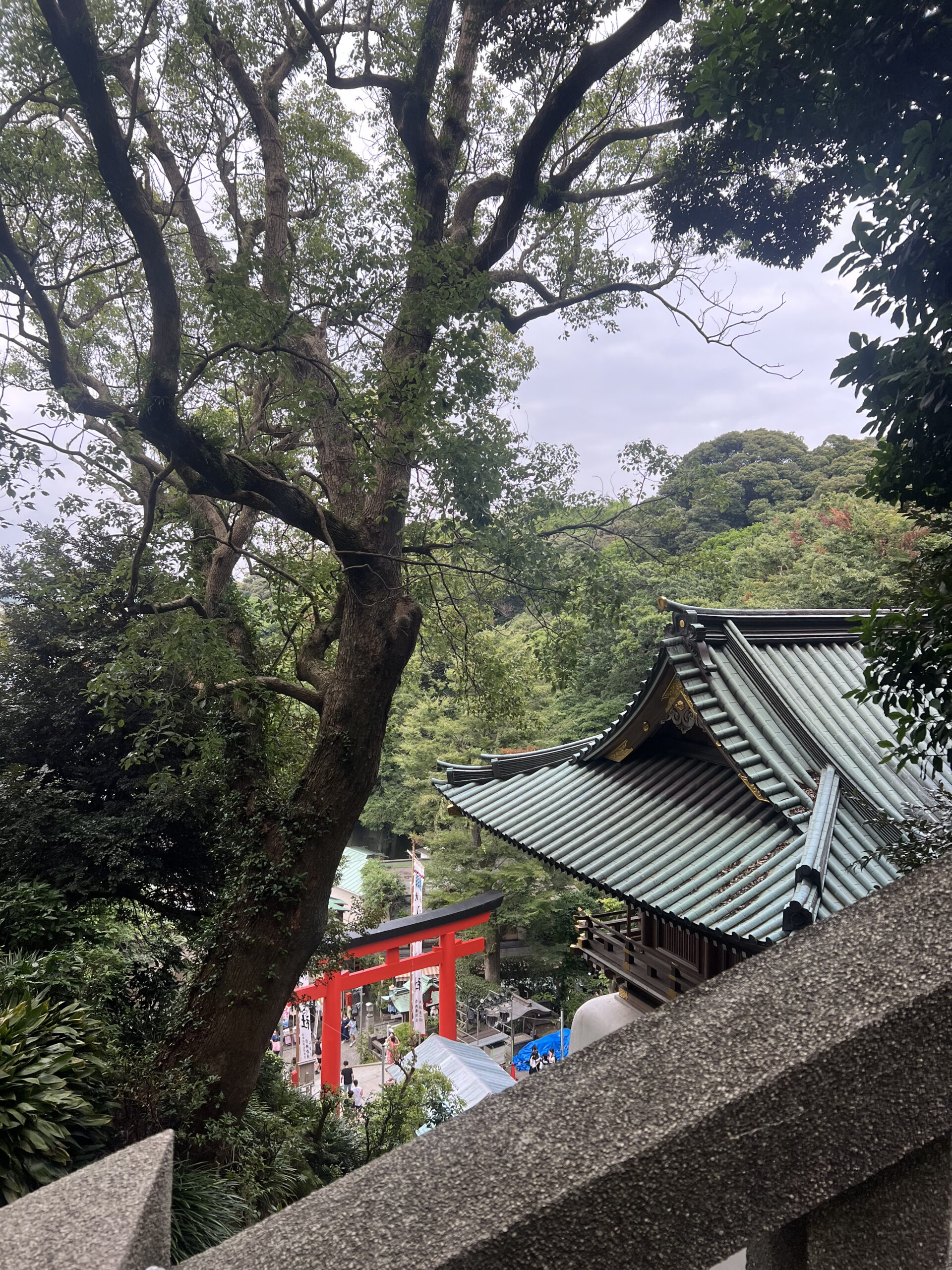 Exploring Enoshima: A Perfect Day Trip from Tokyo