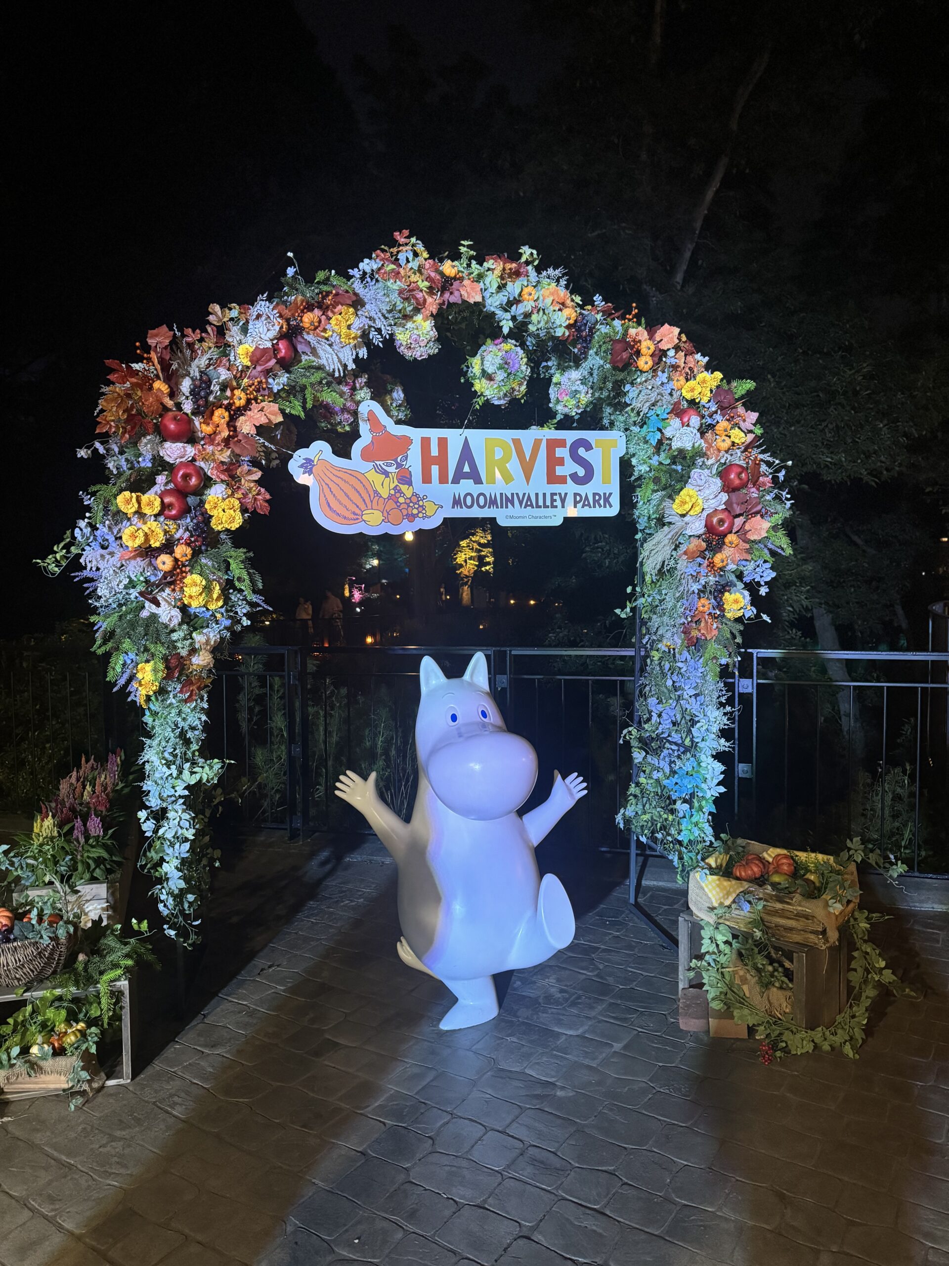 Moomin Valley in Saitama: A Dreamlike Adventure