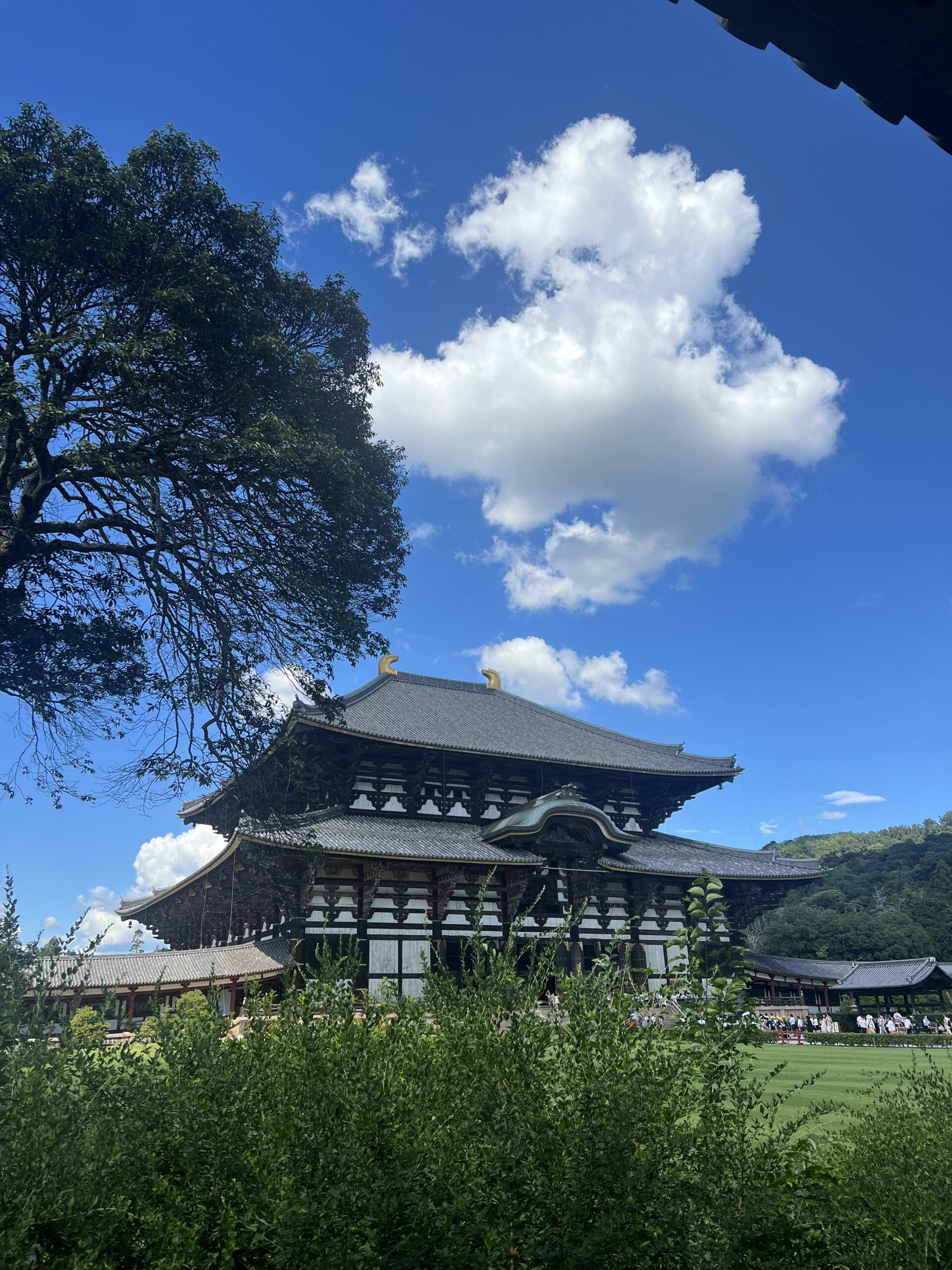 Todai-ji Temple: A Grand Tour Through Japanese History