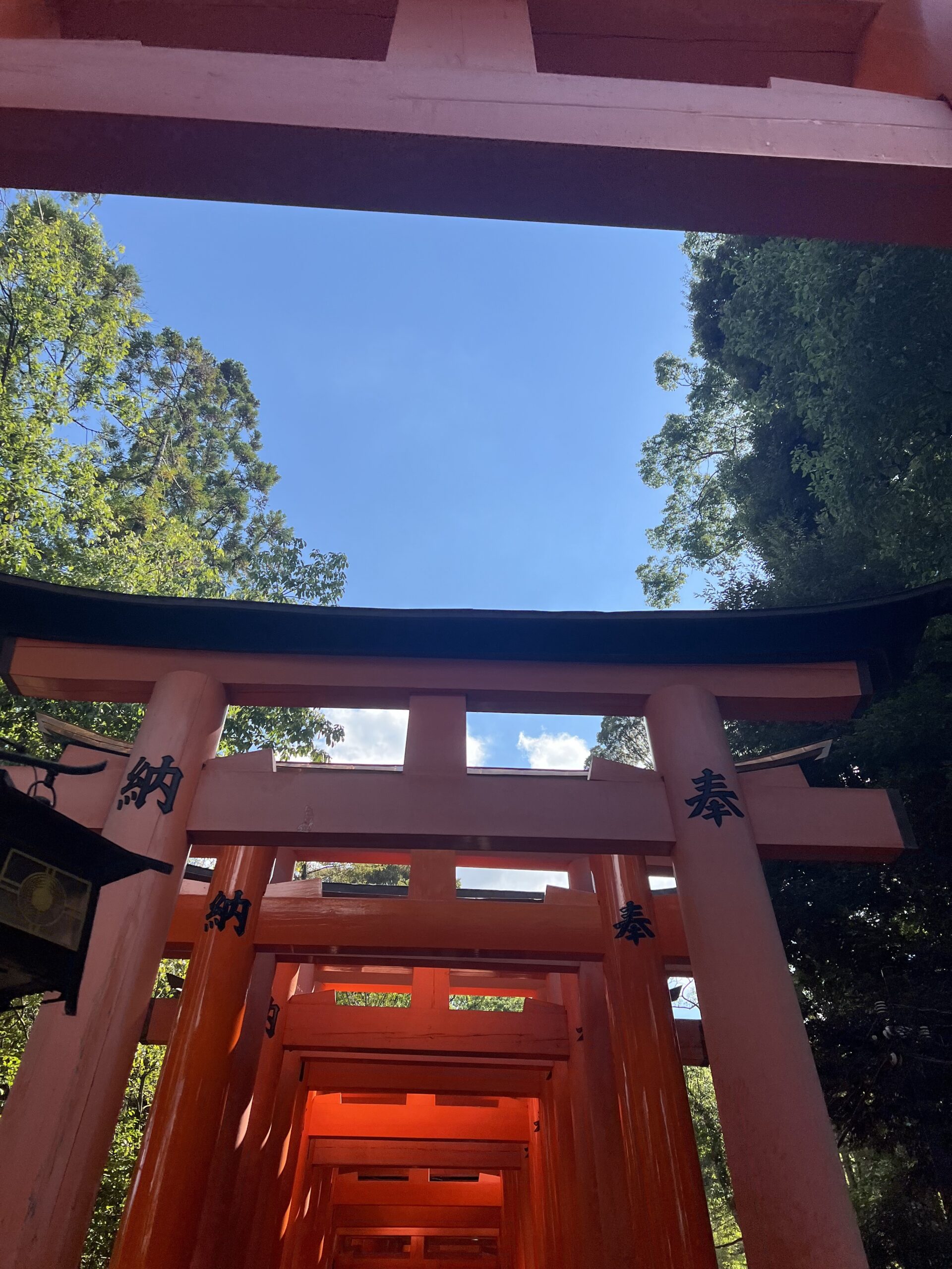 A Local’s Guide to Fushimi Inari Taisha: What You Need to Know Before You Visit